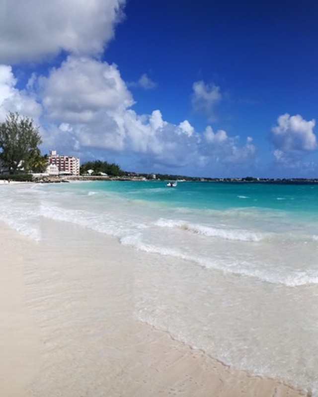 Sam, role, Caribbean Process Servers